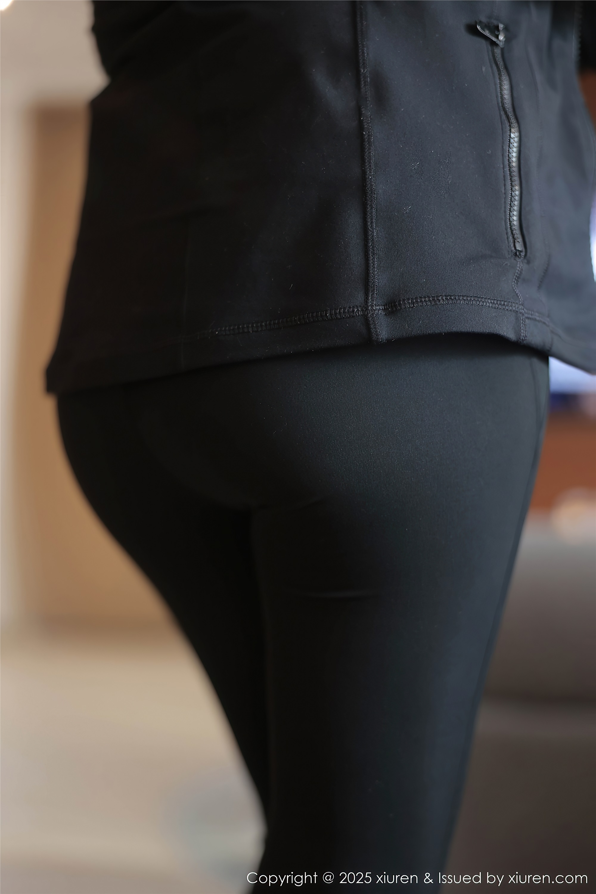 Xiuren秀人网 2025.01.02 NO.9694 M0nica